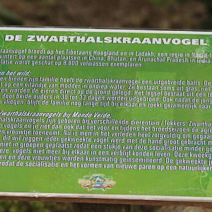 Information sign Black-necked cranes