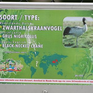 Sign Black-necked crane