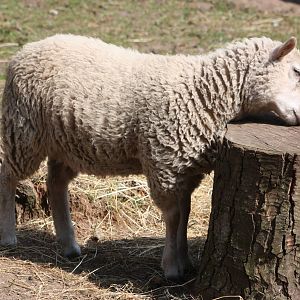 April, 30th June 2014