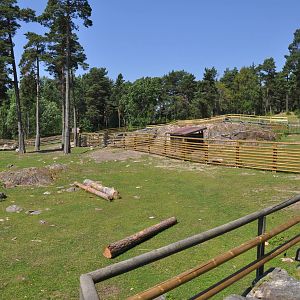 New mixed exhibit - Takin and Pere Davids Deer