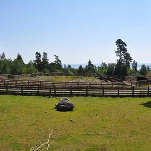 New mixed exhibit - Takin and Pere Davids Deer