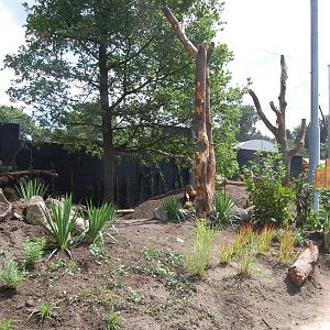 Snavelrijk - new 2014