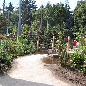 Snavelrijk - new 2014