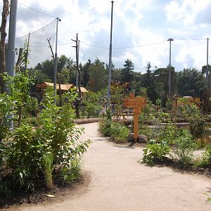 Snavelrijk - new 2014