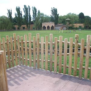 Viewing area near Lions, 7th July 2014