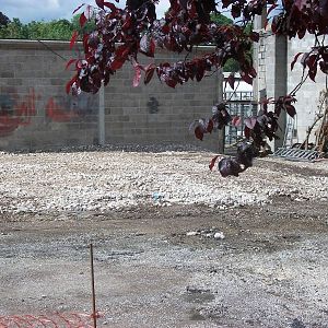 Where has the Staff Canteen gone? 7th July 2014