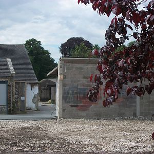 Looking into the Keepers' Yard, 7th July 2014