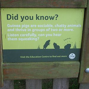 Signage, 7th July 2014