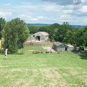 Looking down the Camel paddock, 7th July 2014