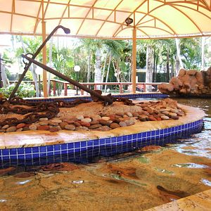 Ray Pool at Miami Seaquarium, 16/10/13