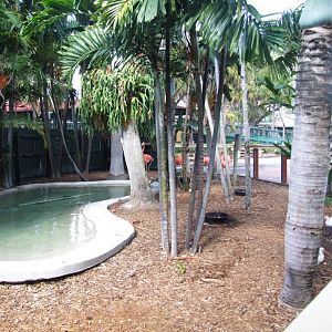 Flamingo Enclosure at Miami Seaquarium, 16/10/13