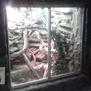 Red-headed monitor enclosure