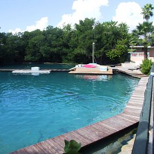 Flipper Dolphin Show Stadium at Miami Seaquarium, 16/10/13