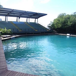 Flipper Dolphin Show Stadium at Miami Seaquarium, 16/10/13