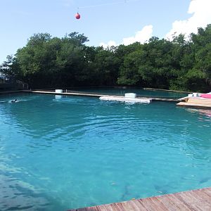 Flipper Dolphin Show Stadium at Miami Seaquarium, 16/10/13