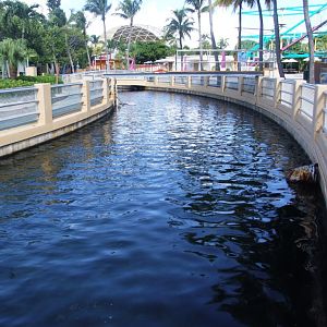 Shark Channel at Miami Seaquarium, 16/10/13
