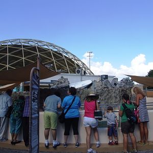 Pinniped Complex at Miami Seaquarium, 16/10/13
