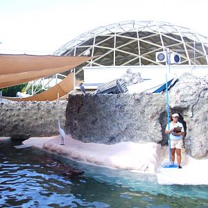 Pinniped Complex at Miami Seaquarium, 16/10/13