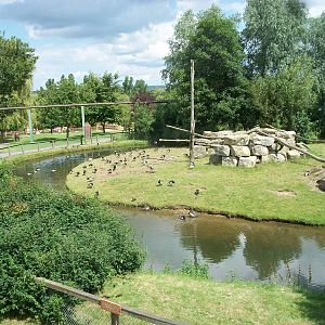 Baboon Island viewed from the monorail, 7th July 2014