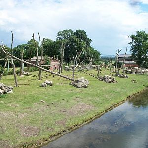 Baboon Island viewed from the monorail, 7th July 2014