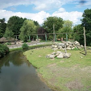 Baboon Island viewed from the monorail, 7th July 2014