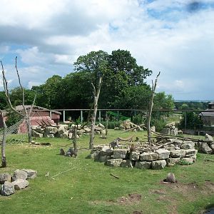 Baboon Island viewed from the monorail, 7th July 2014