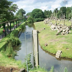 Baboon Island viewed from the monorail, 7th July 2014