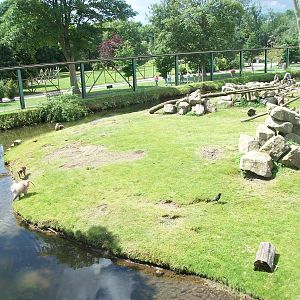 Baboon Island viewed from the monorail, 7th July 2014