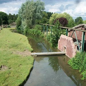 Baboon Island viewed from the monorail, 7th July 2014