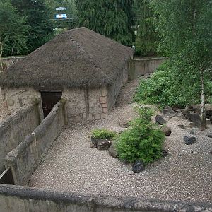 Meerkat exhibit viewed from the monorail, 7th July 2014
