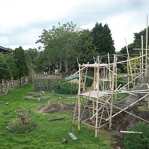 Lemur exhibit viewed from the monorail, 7th July 2014