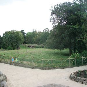 Emu paddock viewed from the monorail, 7th July 2014