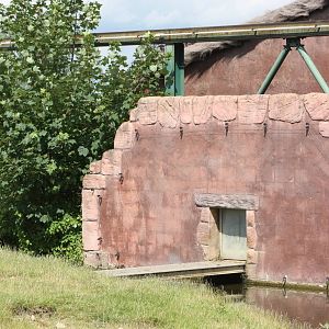 Baboon housing, 7th July 2014