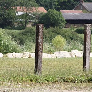 Indian Rhinoceros paddock barriers, 7th July 2014