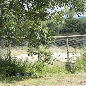 Long distance view of boulders around Indian Rhinoceros paddock, 7th July 2