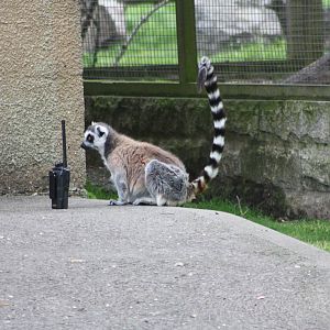 Thinking about making a call, 7th July 2014