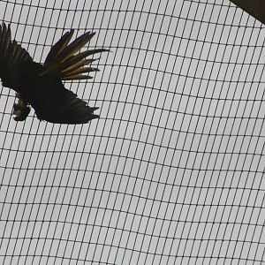 The downpour was enjoyed by some, 7th July 2014