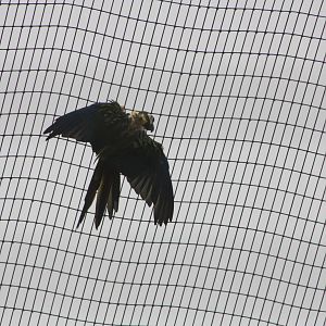 The downpour was enjoyed by some, 7th July 2014