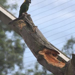 How much longer will this last? 7th July 2014