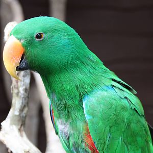 Eckie, 11th July 2014