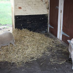 Exploring an unfamiliar area, 11th July 2014