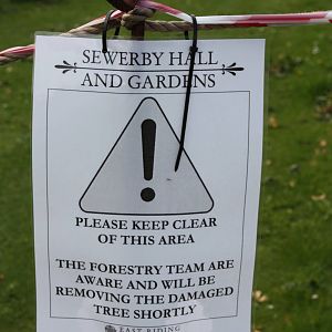 Signage re fallen tree, 11th July 2014