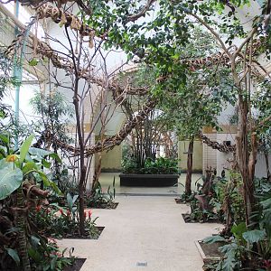 Bird & Tropical House