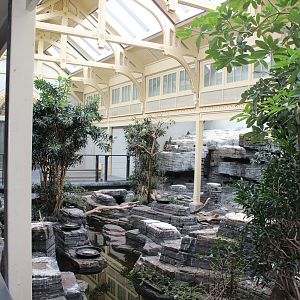 Seabird Enclosure, Bird & Tropical House