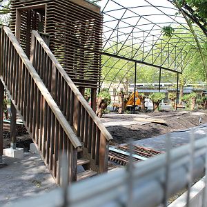 Renovation of Free-flight Aviary