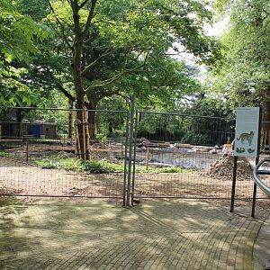 Construction of new Jaguar Enclosure