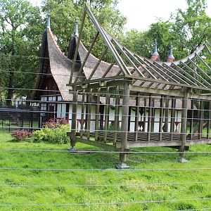 Sulawesi Macaque Enclosure