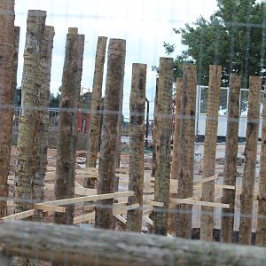 Islands Bridge progress