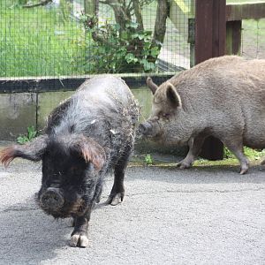 Time for bed though, 12th July 2014