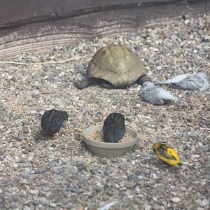 A mixed exhibit, 12th July 2014